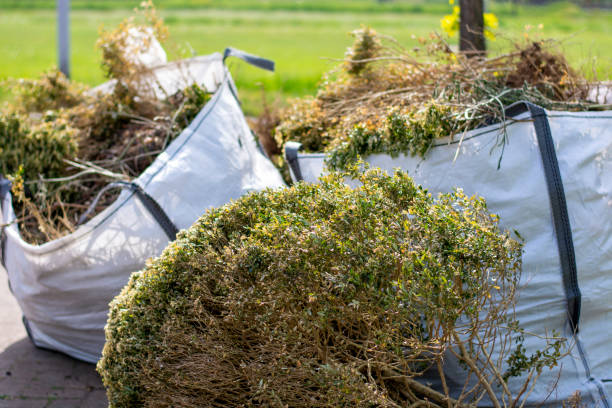 Best Same-Day Junk Removal  in Valley View, OH